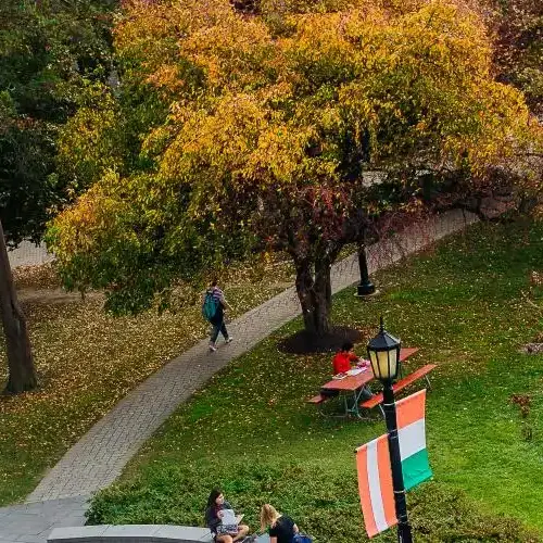 Birdseye view of Landman Library on Arcadia's campus