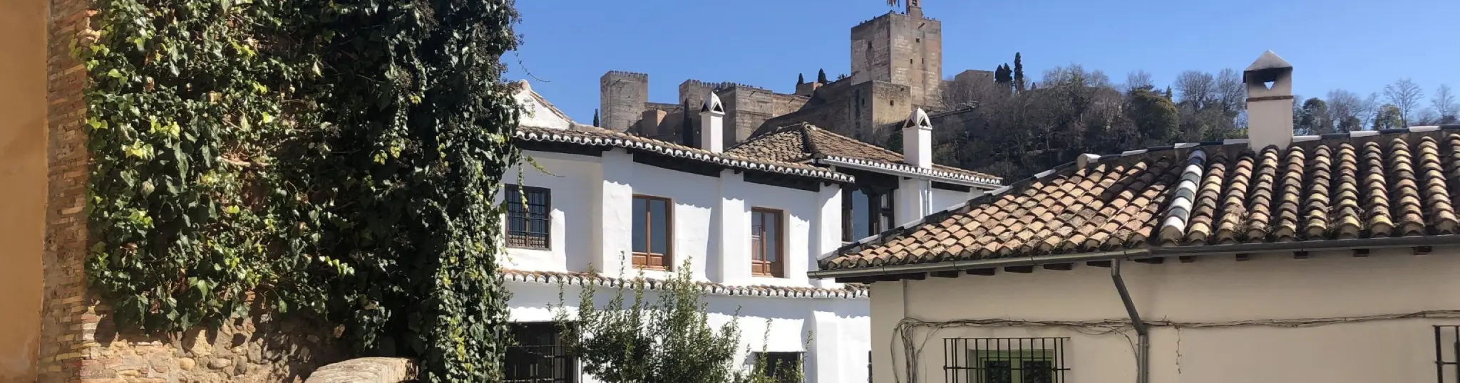 roofs of spanish-style homes