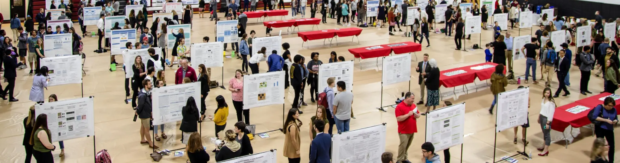 An open house in the gymnasium