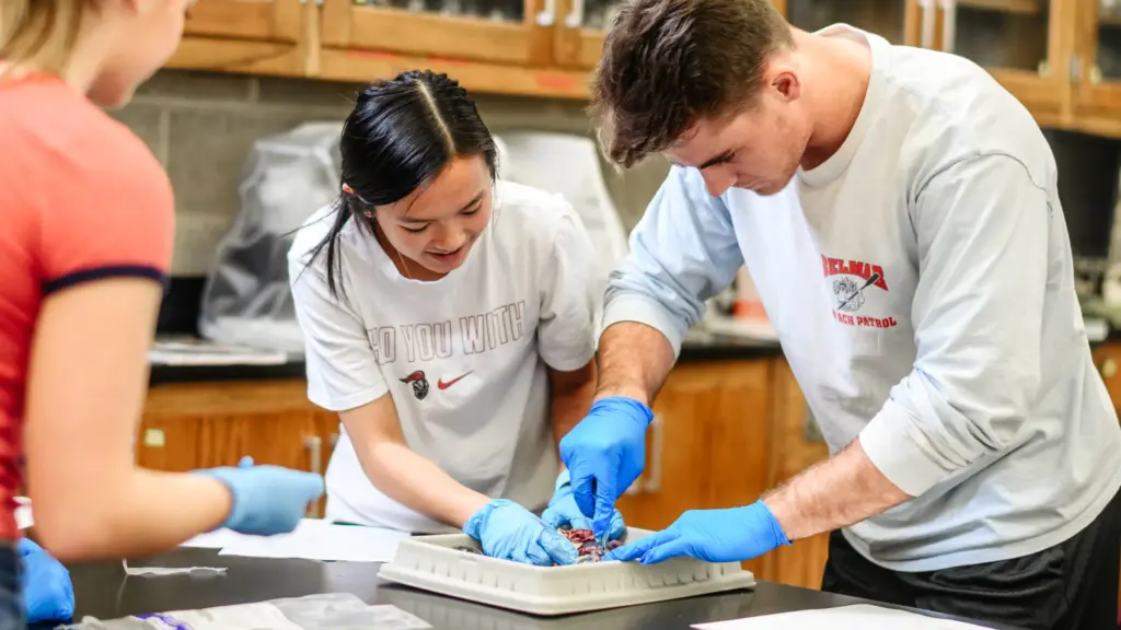 three college students working on a disection