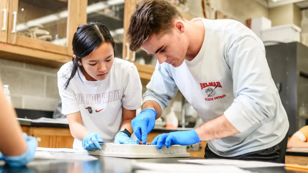 Biology students perform a dissection in a lab.