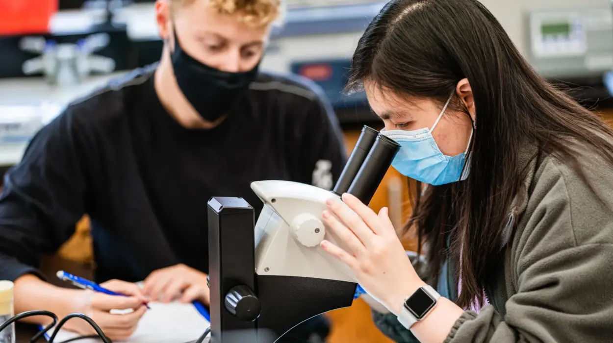 Biology students use a microscope in a lab.