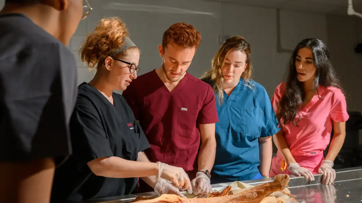 Students examine a cadaver.