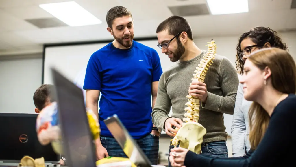 Student handles vertebrae in a class.