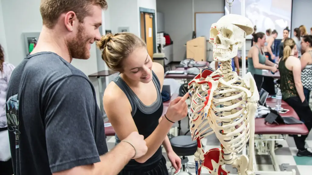 Students examine a human skeleton in a physical therapy lab.