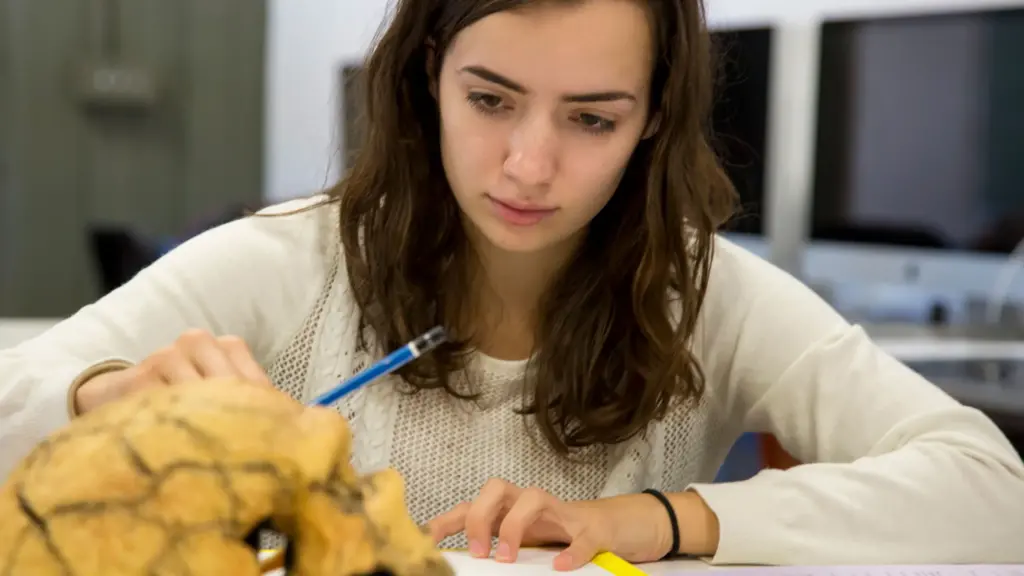 Natasha Mutch, Scientific Illustration student studies a skull.