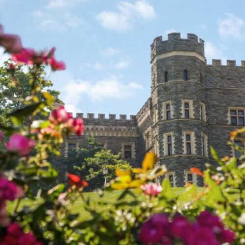 An outdoor view of Grey Castle on a sunny day, seen through a rose bush.