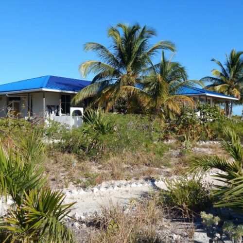 A beach house with a blue roof and palm trees in front of it