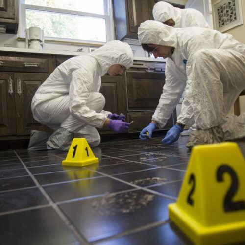 Forensic Science students work through a crime scene