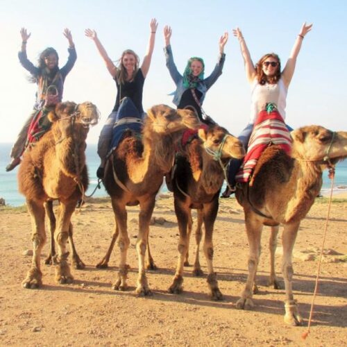 Four students with arms raised ride on camels.