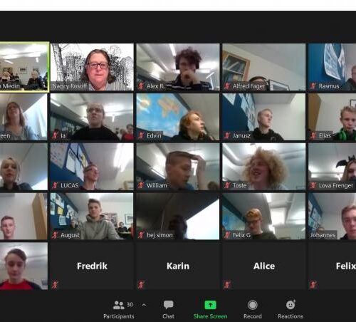 Screenshot of a Zoom meeting.