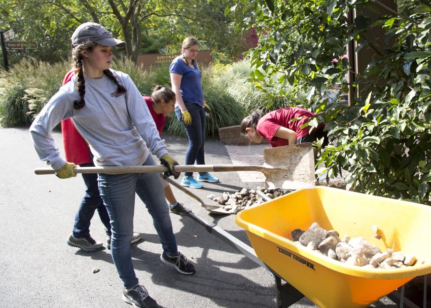 Students shovel rocks from a wheelbarrow around a garden during the day of service.