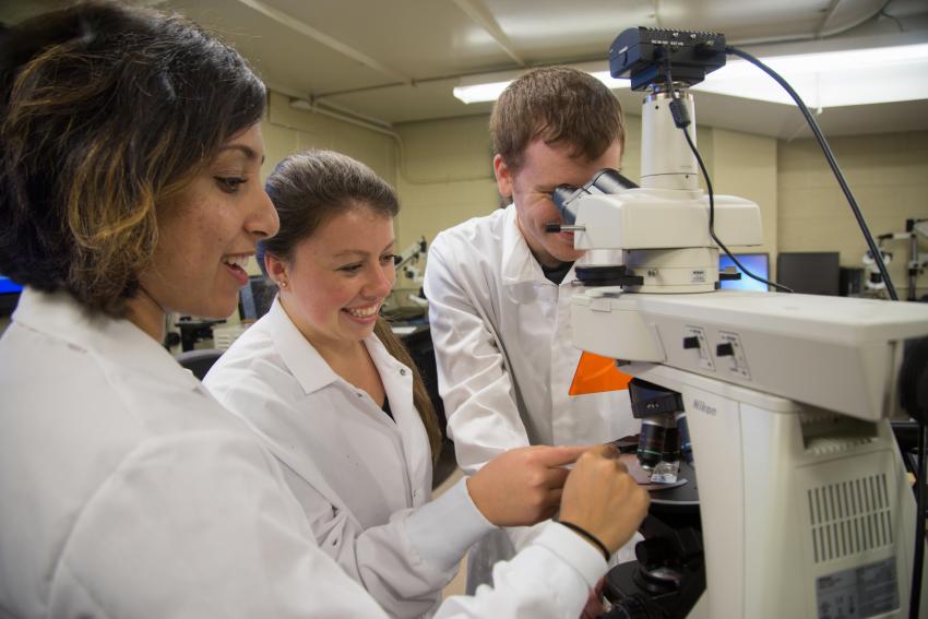 Three students in white lab coats smile while one uses a large microscope to view a slide