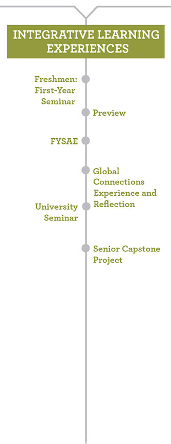 Chart illustrates Integrative Learning Experiences