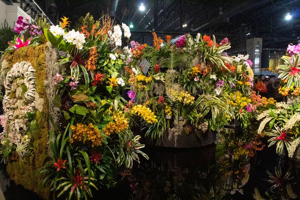 A variety of flowers and plants filling the space.