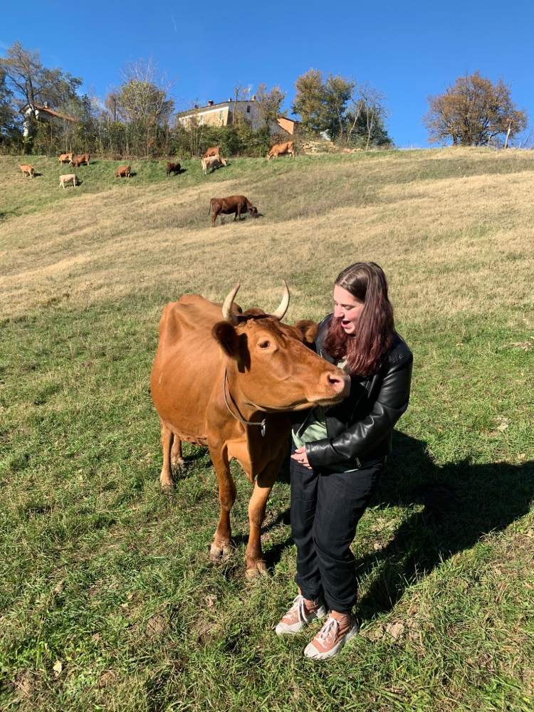 Sophie with a cow in Italy.
