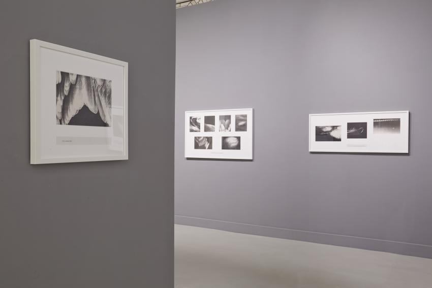 A Pati Hill legacy art exhibition