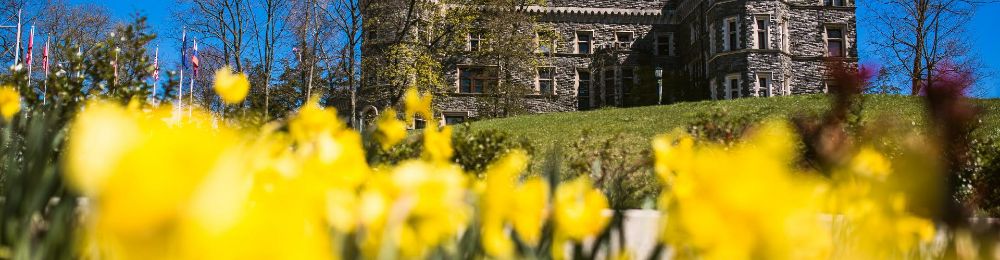 Arcadia University at a distance with yellow flowers in the foreground