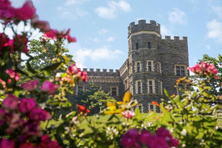 Castle in Spring