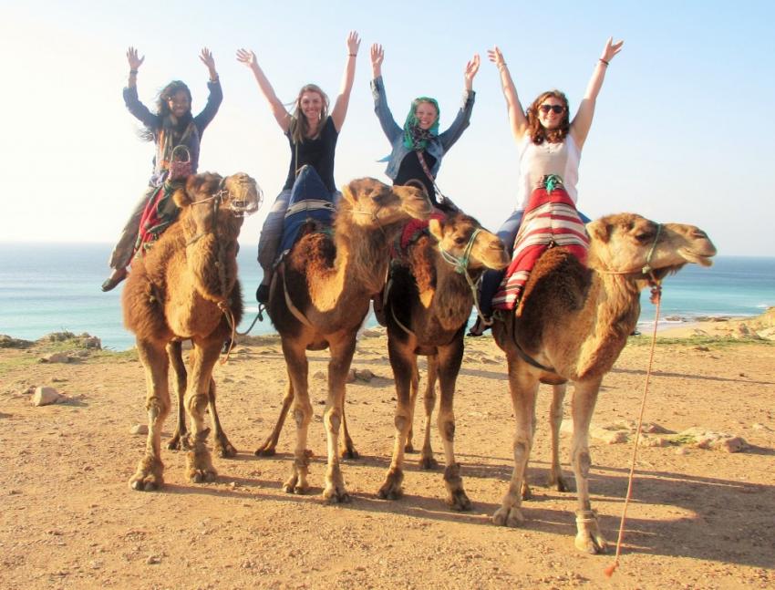 Four students with arms raised ride on camels.