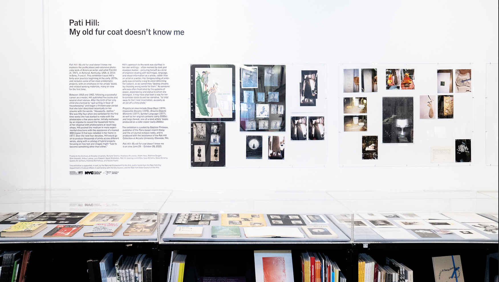 Installation view, "Pati Hill: My old fur coat doesn't know me, Printed Matter, New York