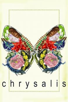Poster of Chrysalis play