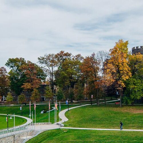 An overview of Haber Green and Grey Towers