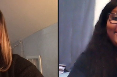 An online meeting between two women