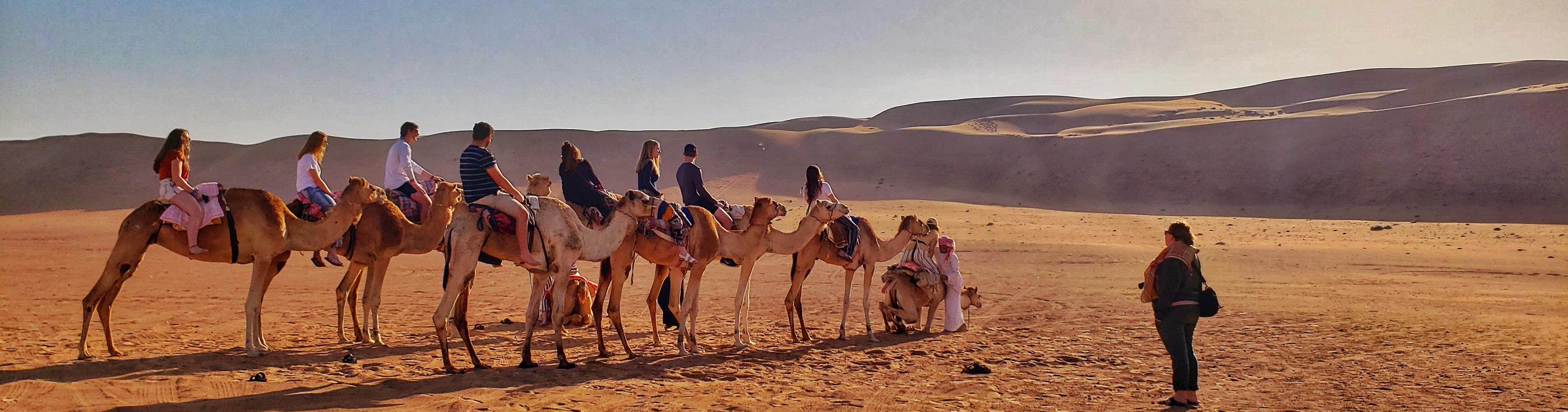 A group of students riding on camels.