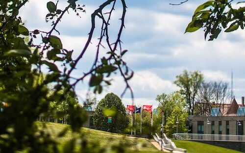 Picture of Haber Green through the trees.