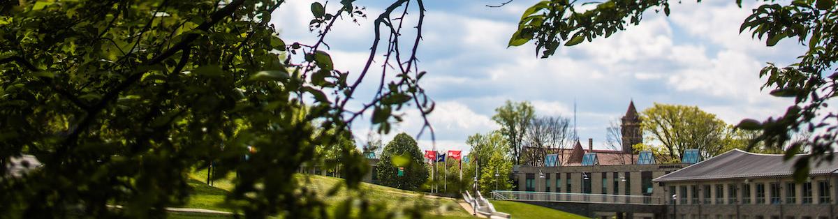 Picture of Haber Green through the trees.