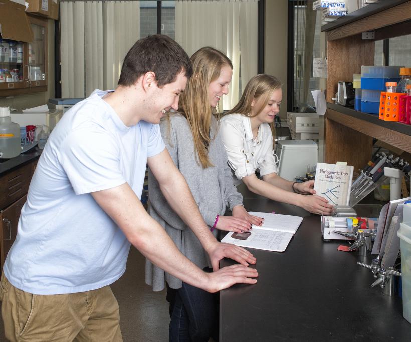 Students work together in a lab