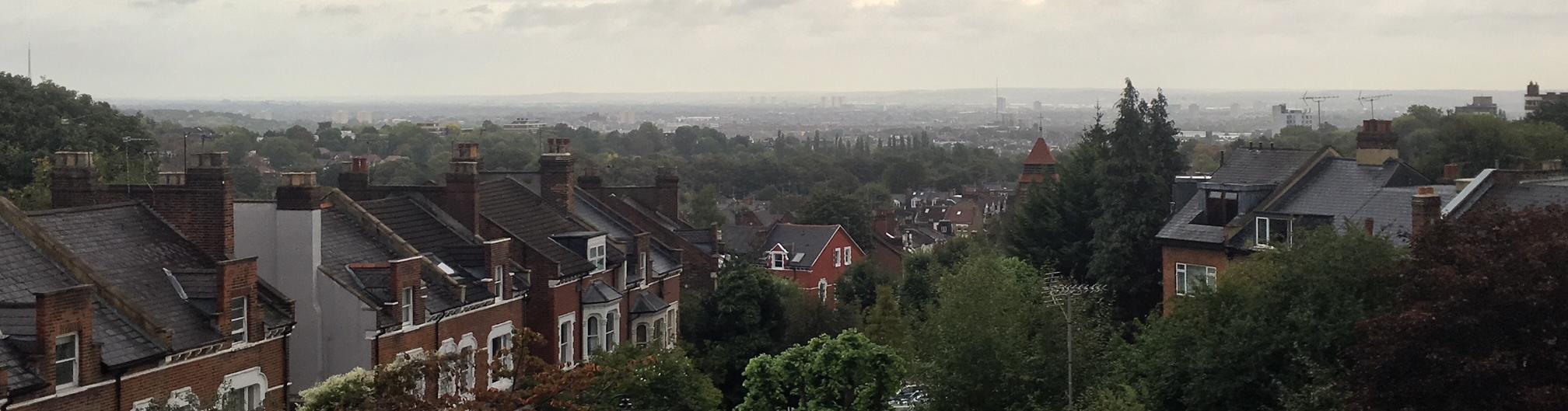 An aerial view of suburban cottages on the outside of the city