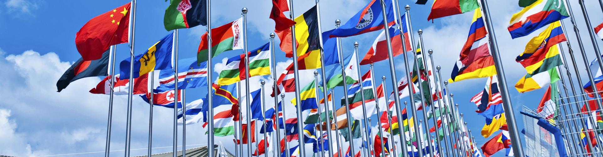 Collective display of international flags on flagpoles.