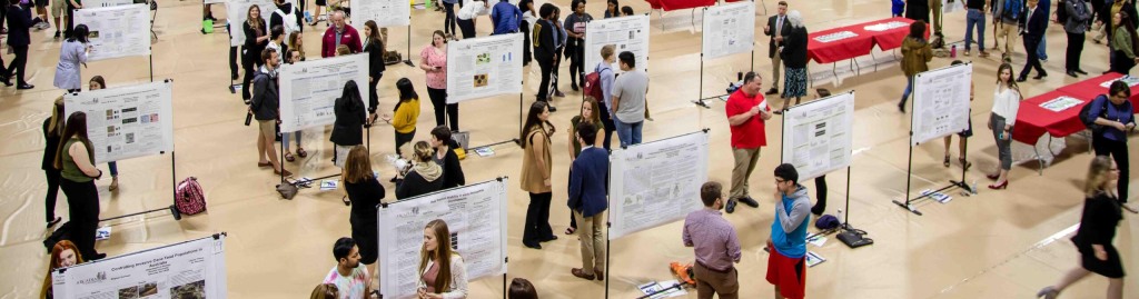 Arcadia seniors lined up with their senior theses.