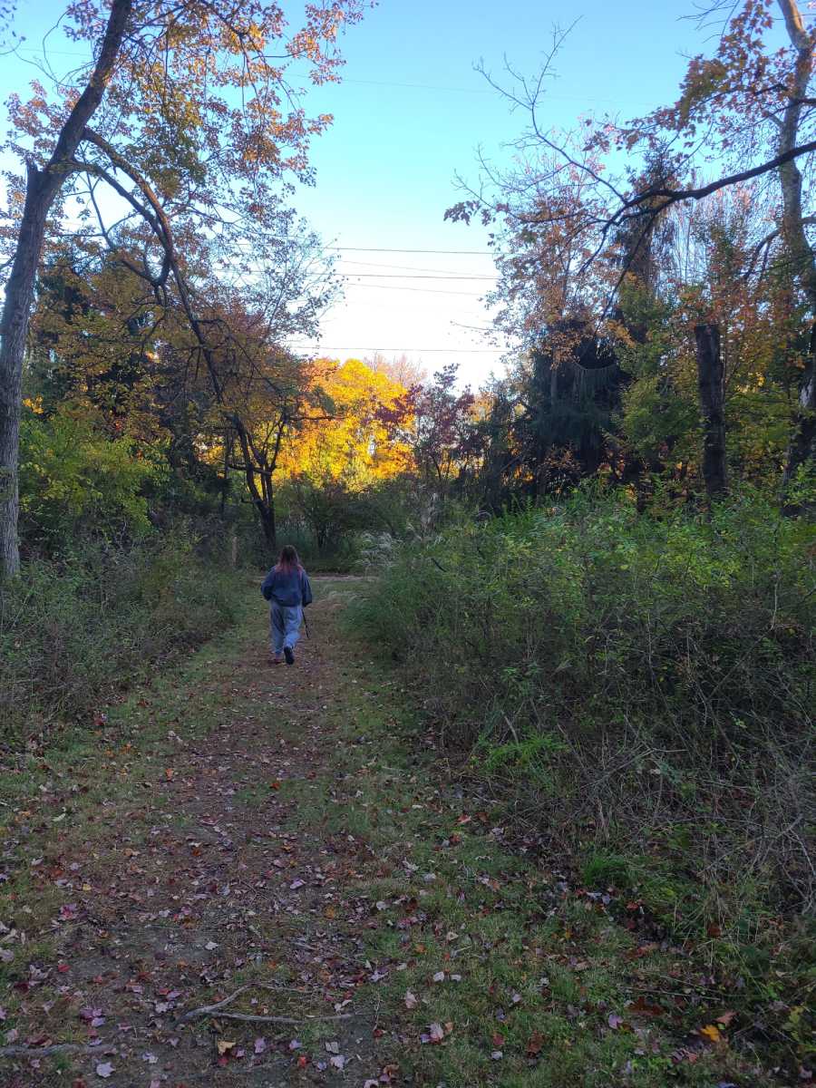 A photo of someone walking in the woods.