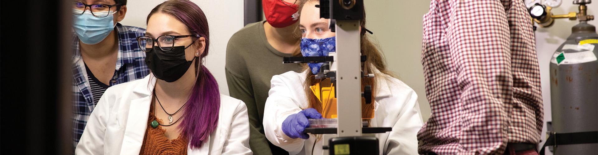 Students looking at a bigger version of what is seen through the microscope.