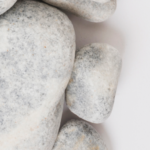 Rocks with small plants against them.
