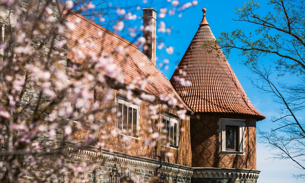 A view of Murphy Hall during spring.