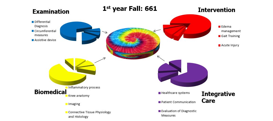 Pie chart showing first year study areas for DPT