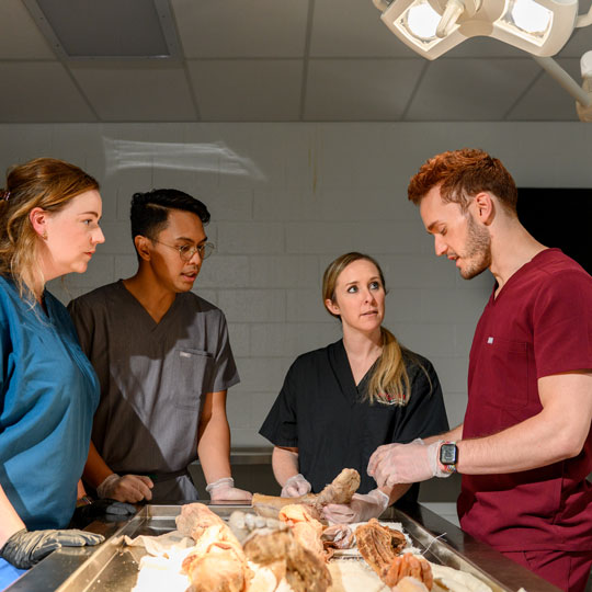 Physician assistant program anatomy lab.