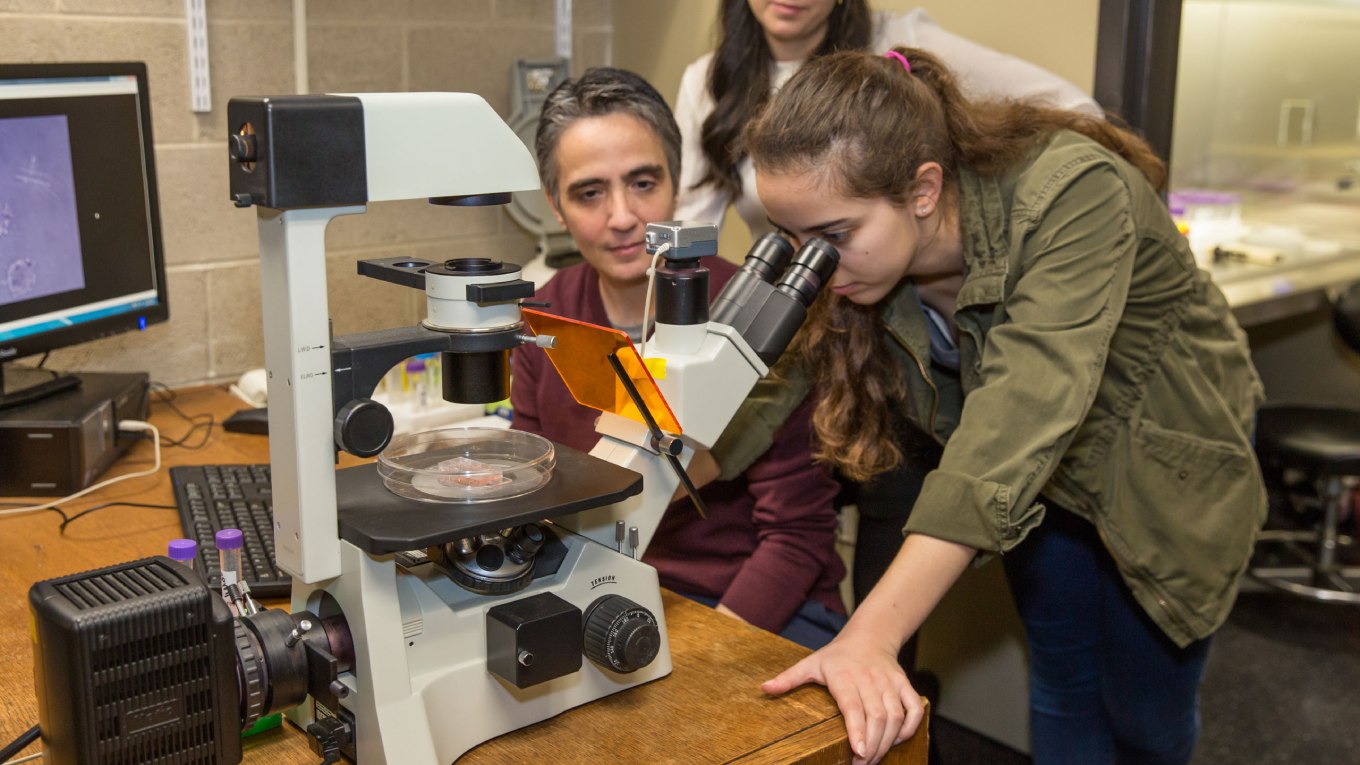 Students use telescope while in class.