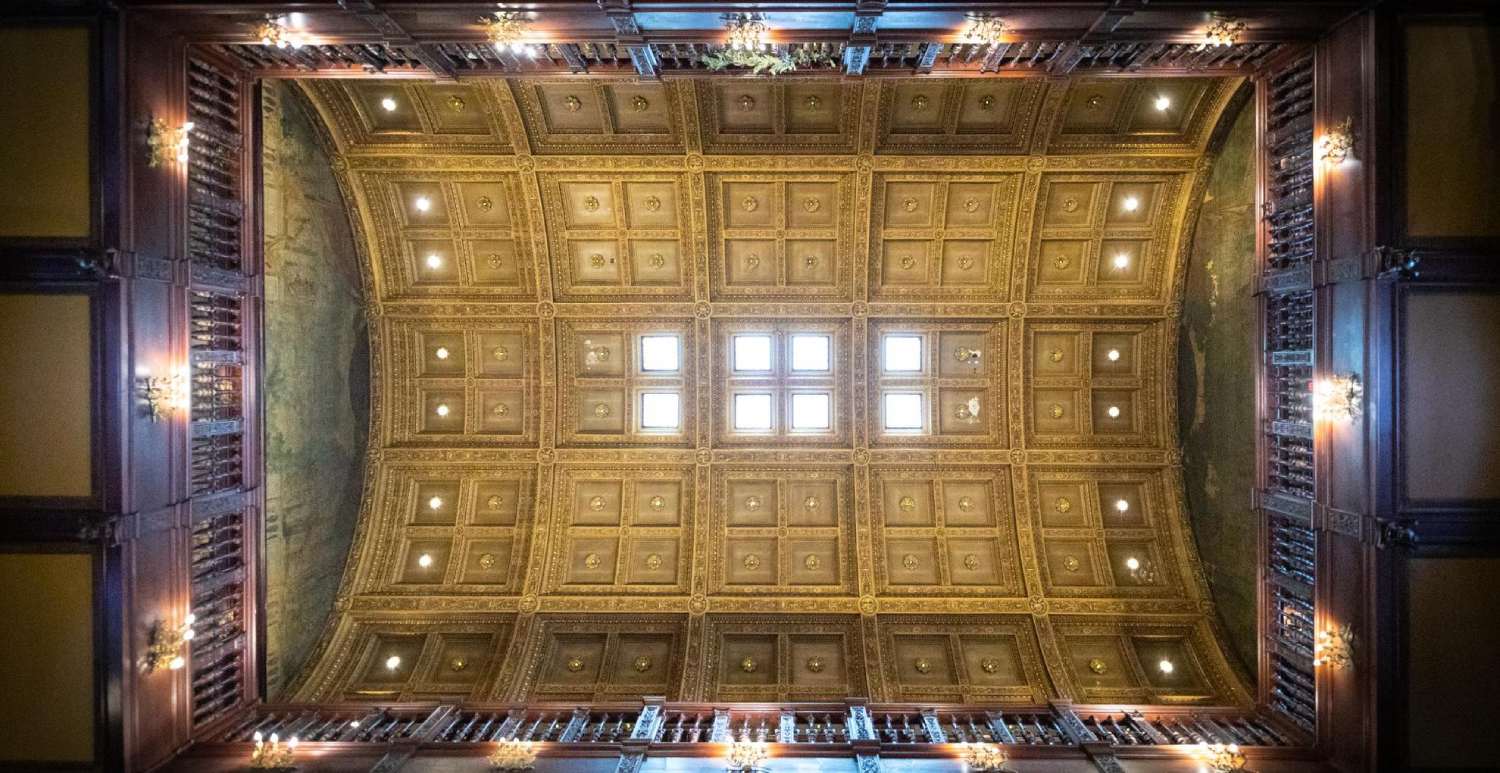 Greys Tower Castle curved ornate ceiling with sky lights