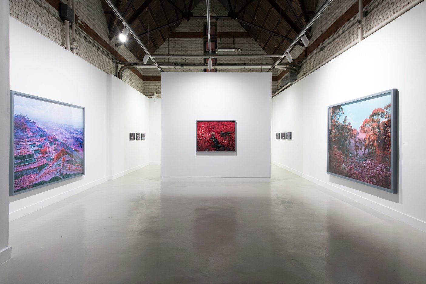installation view from Richard Mosse: Beyond Here Lies Nothin'