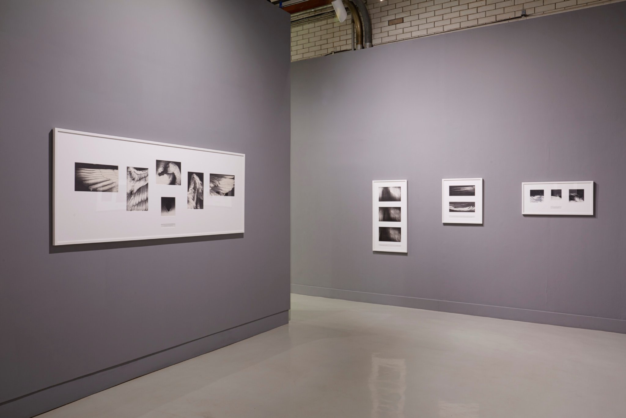 Installation view from Pati Hill: Photocopier - A Survey of Prints and Books (1974 - 83).