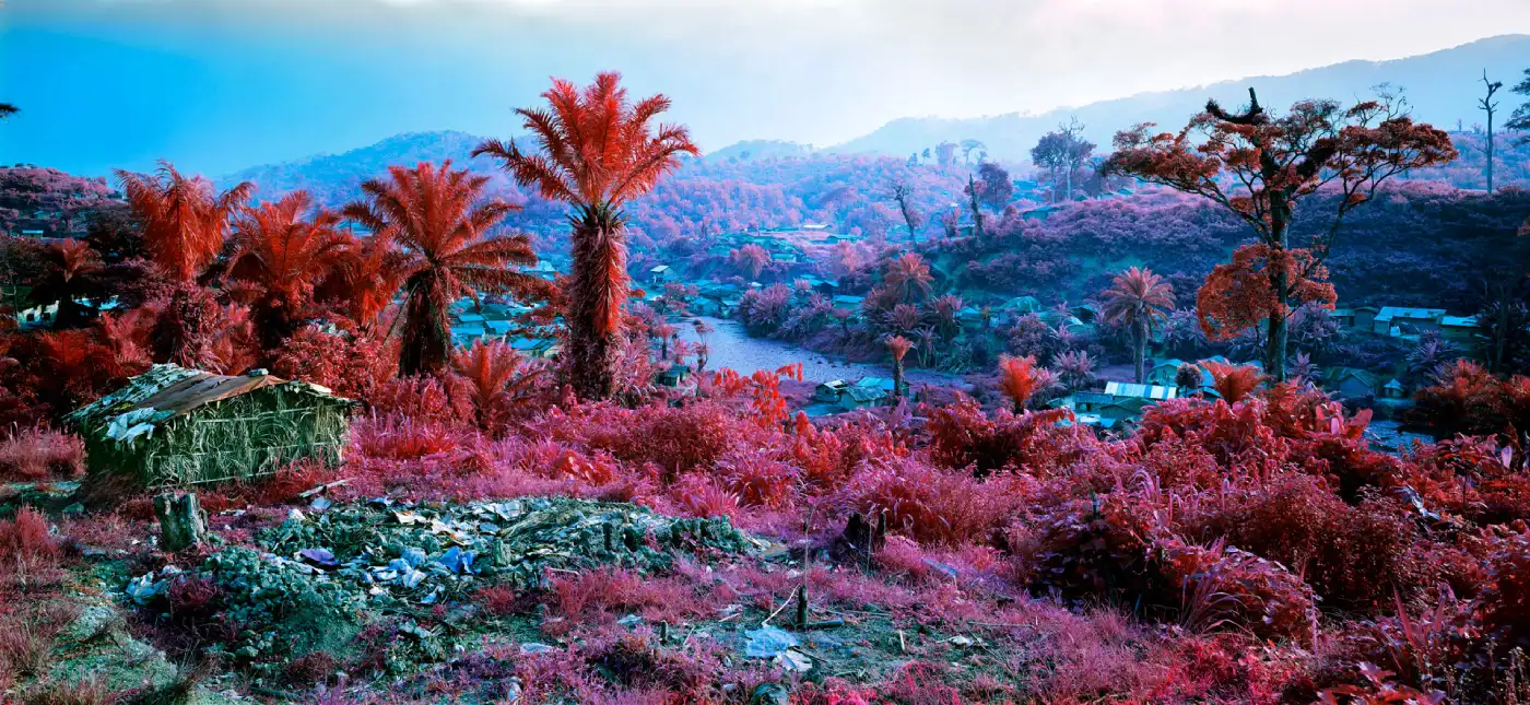 a photograph of a landscape where all of the normally green plant life appears pink or red