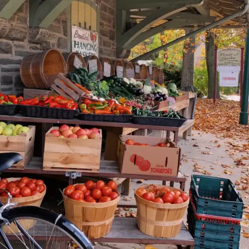 Fruits and vegetables at a farmer's market