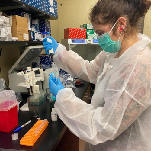 McKenna Bonn-Savage '24MSFS in the forensic biology lab