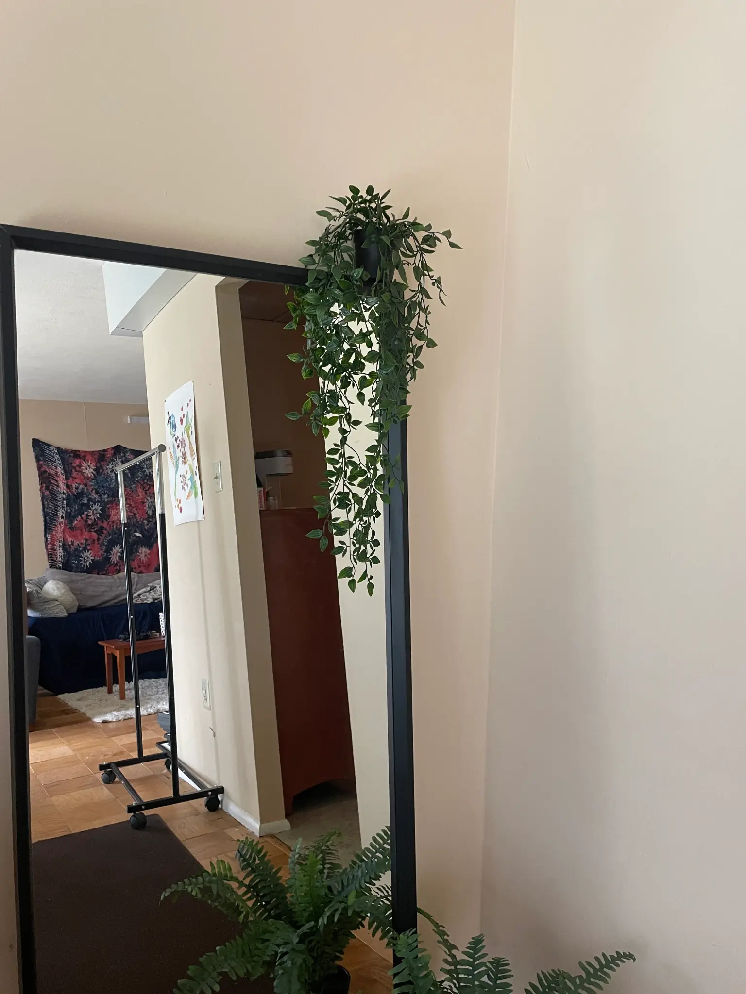 A mirror showing part of a room.