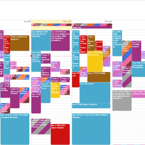 The calendar for Arcadia's DPT program.